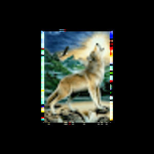 Meet your Posher, Erika